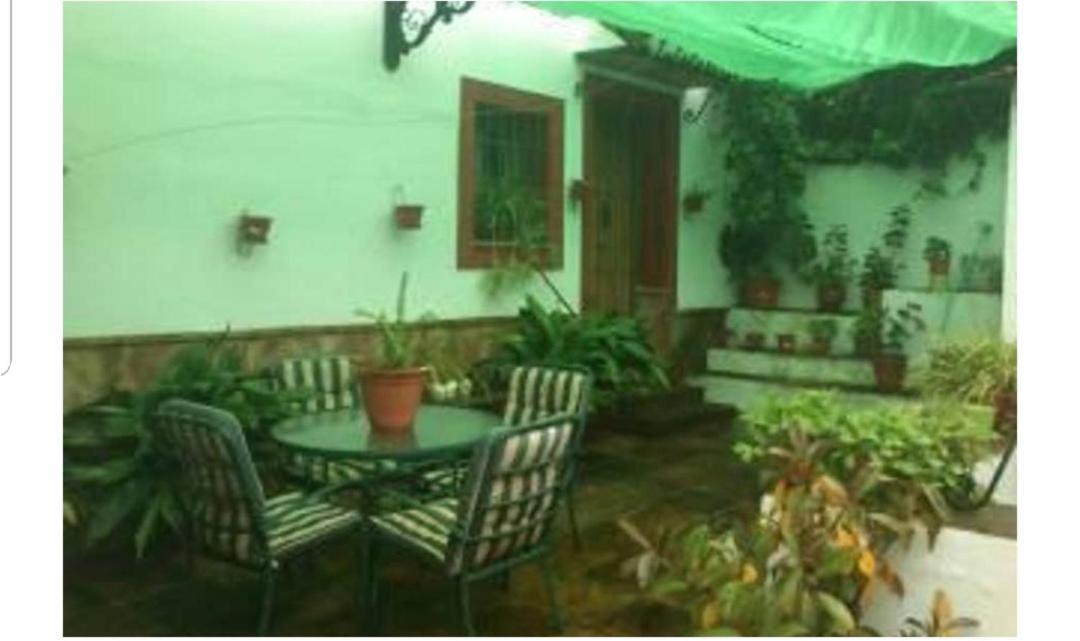 Apartamento En Cortijo Totalmente Reformado En Pleno Paraje Natural Junto Al Caminito Del Rey Y Los Sectores Mas Importantes De Escalada A Solo 2 Minutos De La Estacion De Tren Алора Екстериор снимка